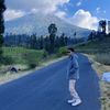 p_annp