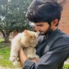 bilal.khokhur