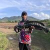 belltnp1