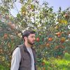 ibad.khan6915
