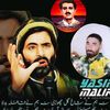 muhammadabrar9673