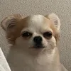 nemu_zzz.._