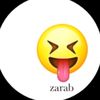 zarabhyder4