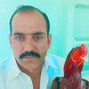 habibrasha1460