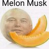 melon_musk_1313