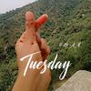 786marwaahmed3