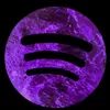 spotifymusique010
