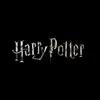 bruxosdehogwarts9