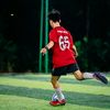 xzv_denmoh