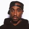 bbcrip4zz