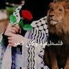 3342587286957rahiq