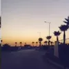 selma_5895