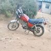 cecycaal134