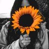 user919226079
