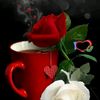 user9877875340458