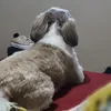 fabriciodossantos_38