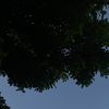 user339342210702