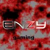 enzygaming0