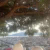 user80343780098