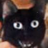 octavefeigin8
