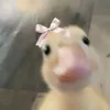 gabiiiiiiiiiiiiiiii__
