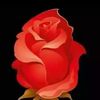 adel.abakar6