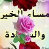 ahmed446638