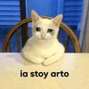 alamiercoles_