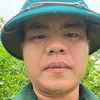 vietlc6