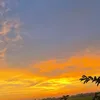 thaihoo4