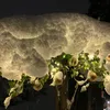 david_129149
