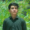 zobeenahmadmian