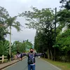 elvinlequin5