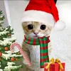 coconut_milkshake456