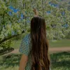 kmli__10