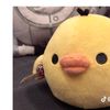 user1265669787097