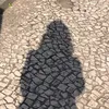 paulapaulapaulapaula123