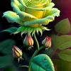 mdjakir.hossen5