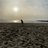 joni_peral
