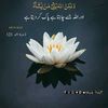 ayesha09843