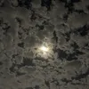 dunya_d01