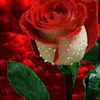 winnygrace8