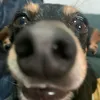 caioba_113