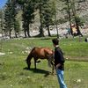 afridi_037
