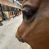 jillianope