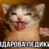 xyecocmonster