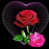 nizamwazir44