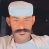 user2498445829529