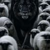 shadowkiller669