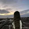 payanina1
